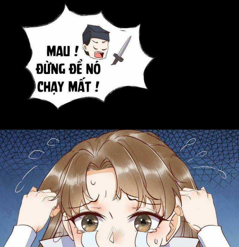 Sát Thủ Vương Phi Không Dễ Chọc - Chapter 37 - Trang 40