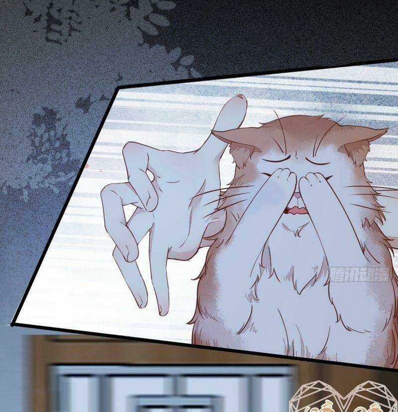 Sát Thủ Vương Phi Không Dễ Chọc - Chapter 37 - Trang 42