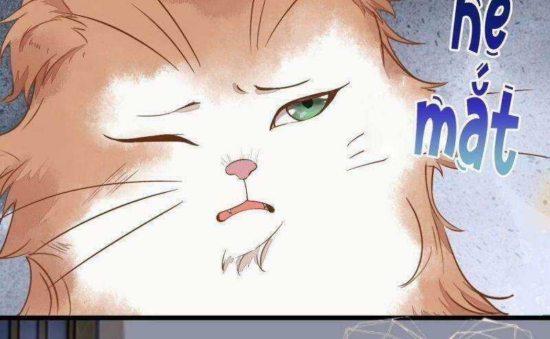 Sát Thủ Vương Phi Không Dễ Chọc - Chapter 37 - Trang 47