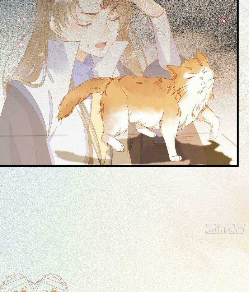 Sát Thủ Vương Phi Không Dễ Chọc - Chapter 37 - Trang 6