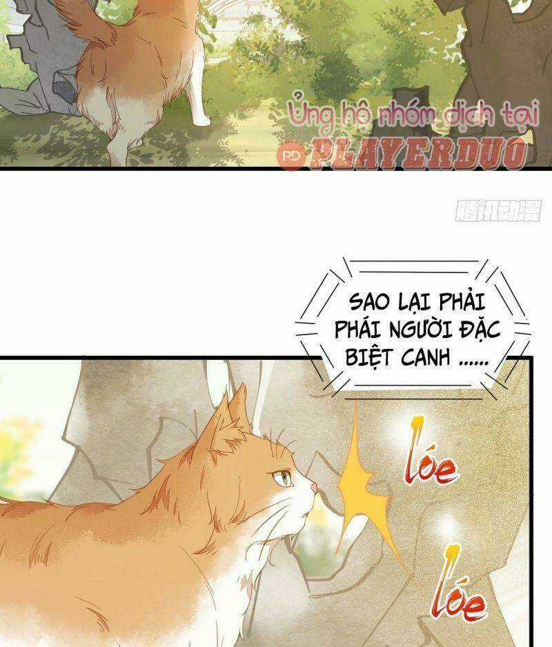 Sát Thủ Vương Phi Không Dễ Chọc - Chapter 37 - Trang 8