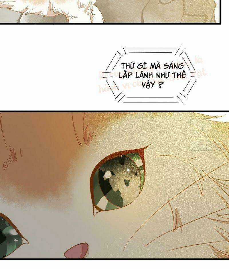 Sát Thủ Vương Phi Không Dễ Chọc - Chapter 37 - Trang 9