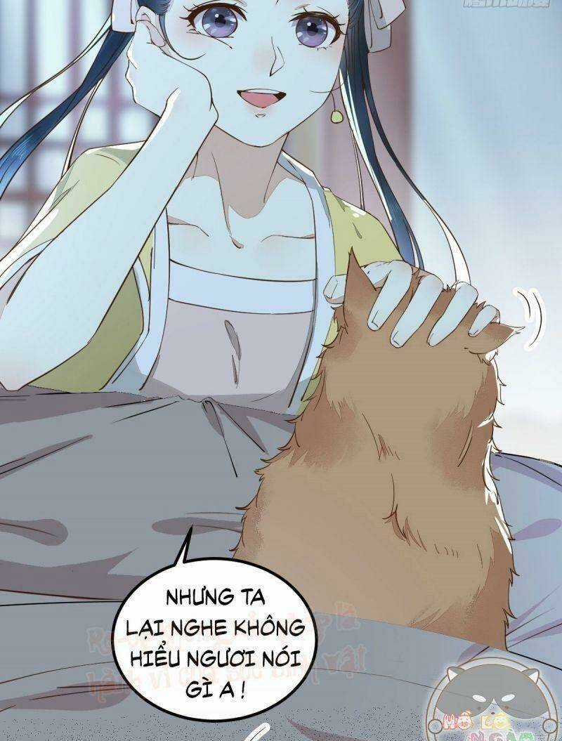 Sát Thủ Vương Phi Không Dễ Chọc - Chapter 38 - Trang 15