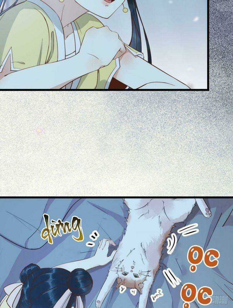 Sát Thủ Vương Phi Không Dễ Chọc - Chapter 38 - Trang 21