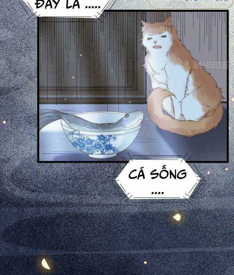 Sát Thủ Vương Phi Không Dễ Chọc - Chapter 38 - Trang 27