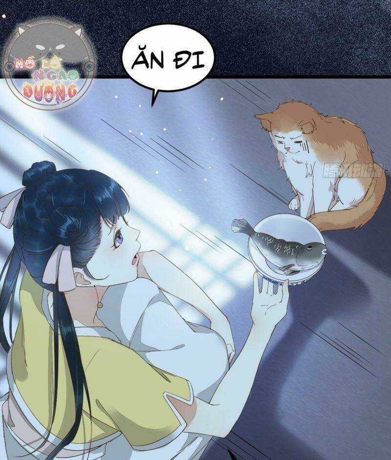 Sát Thủ Vương Phi Không Dễ Chọc - Chapter 38 - Trang 28