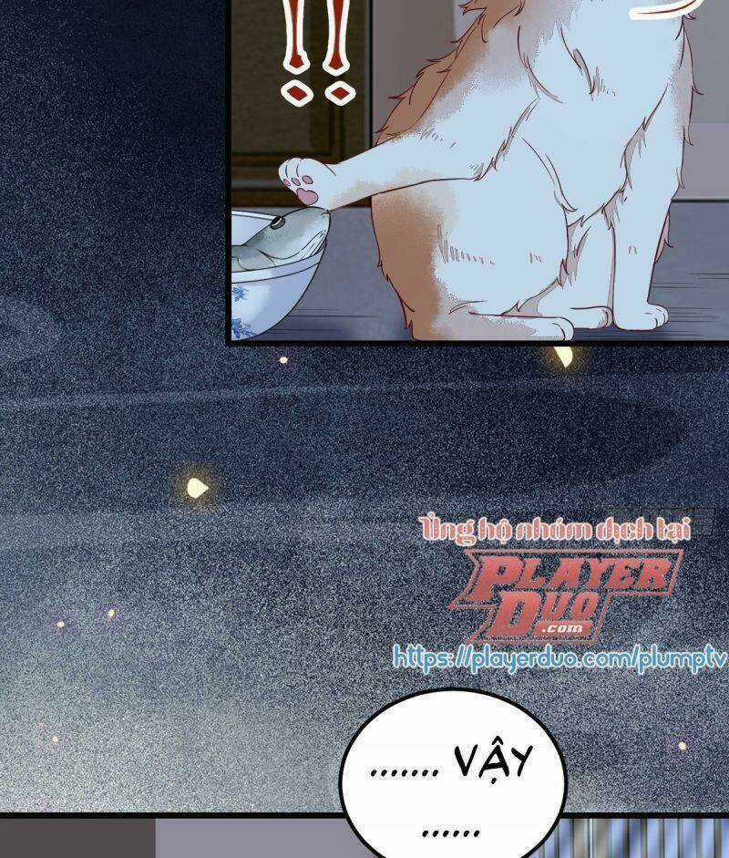 Sát Thủ Vương Phi Không Dễ Chọc - Chapter 38 - Trang 30