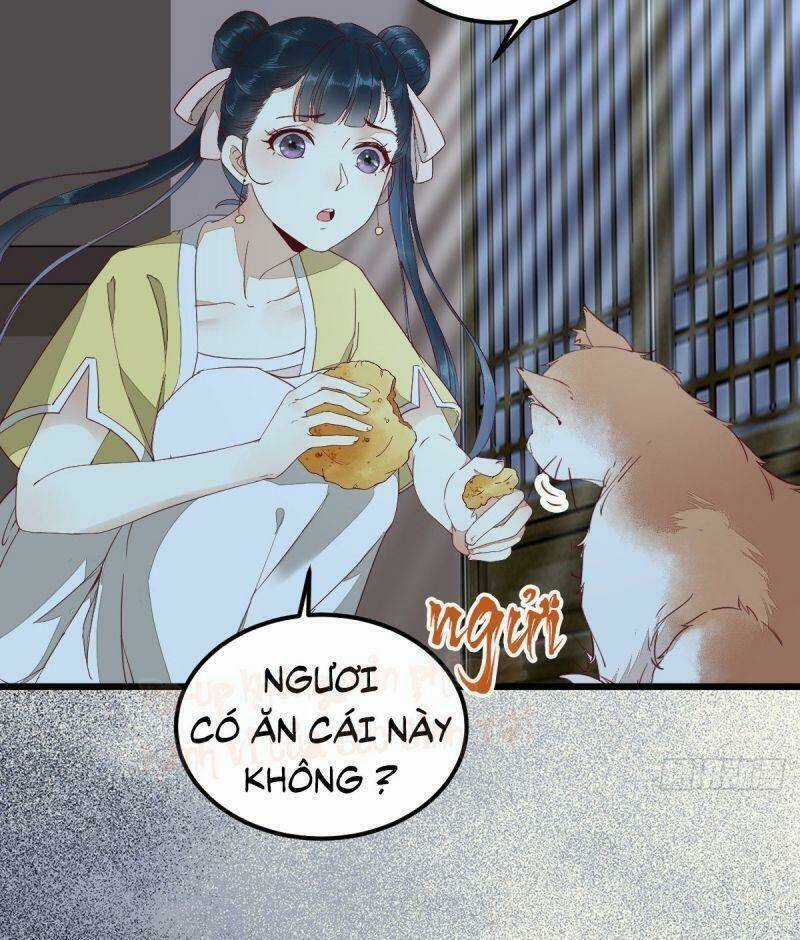 Sát Thủ Vương Phi Không Dễ Chọc - Chapter 38 - Trang 31