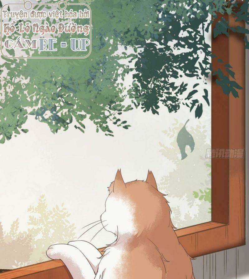 Sát Thủ Vương Phi Không Dễ Chọc - Chapter 38 - Trang 40