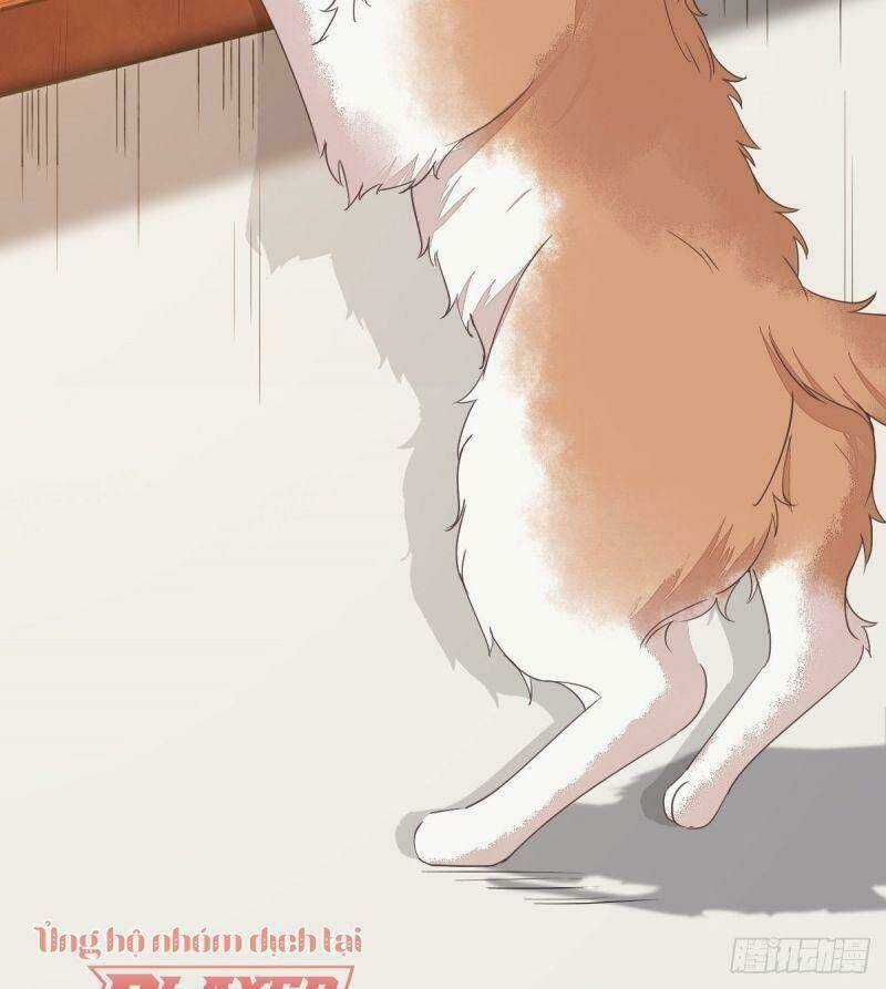 Sát Thủ Vương Phi Không Dễ Chọc - Chapter 38 - Trang 41