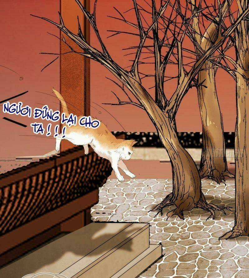 Sát Thủ Vương Phi Không Dễ Chọc - Chapter 38 - Trang 45