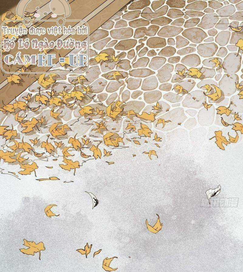 Sát Thủ Vương Phi Không Dễ Chọc - Chapter 38 - Trang 46