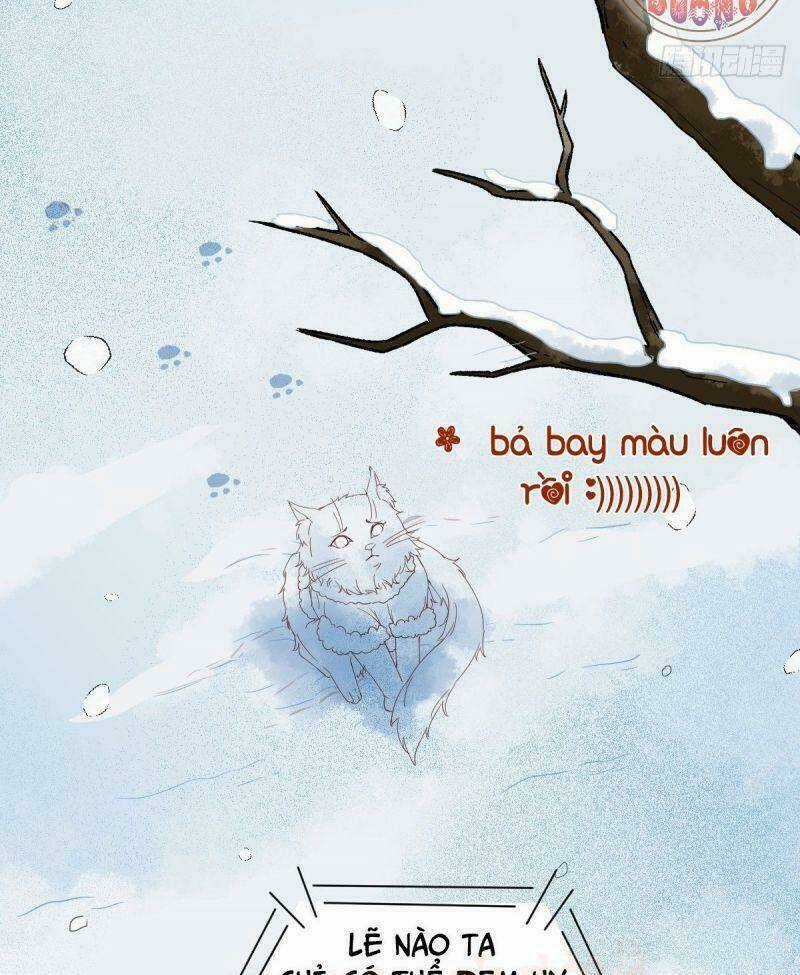 Sát Thủ Vương Phi Không Dễ Chọc - Chapter 38 - Trang 50