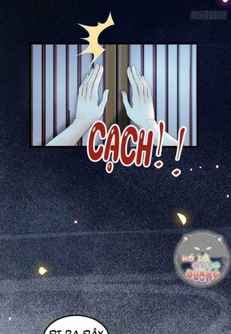 Sát Thủ Vương Phi Không Dễ Chọc - Chapter 38 - Trang 10