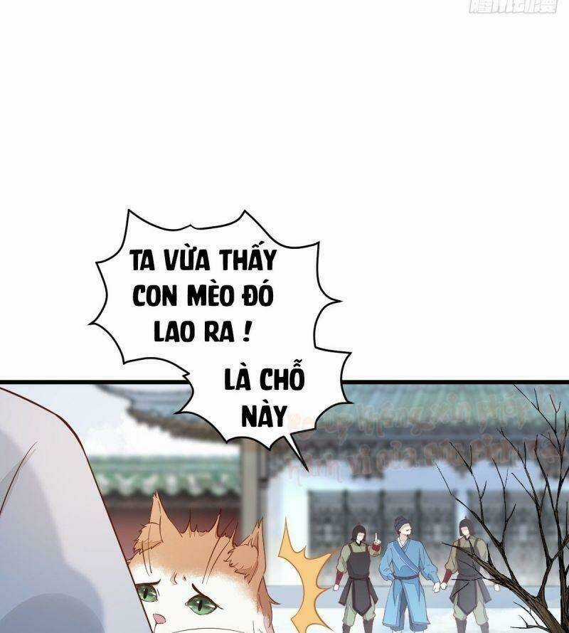 Sát Thủ Vương Phi Không Dễ Chọc - Chapter 39 - Trang 13