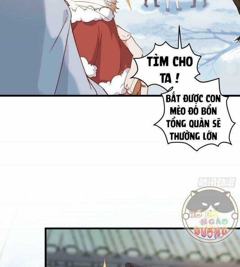 Sát Thủ Vương Phi Không Dễ Chọc - Chapter 39 - Trang 14