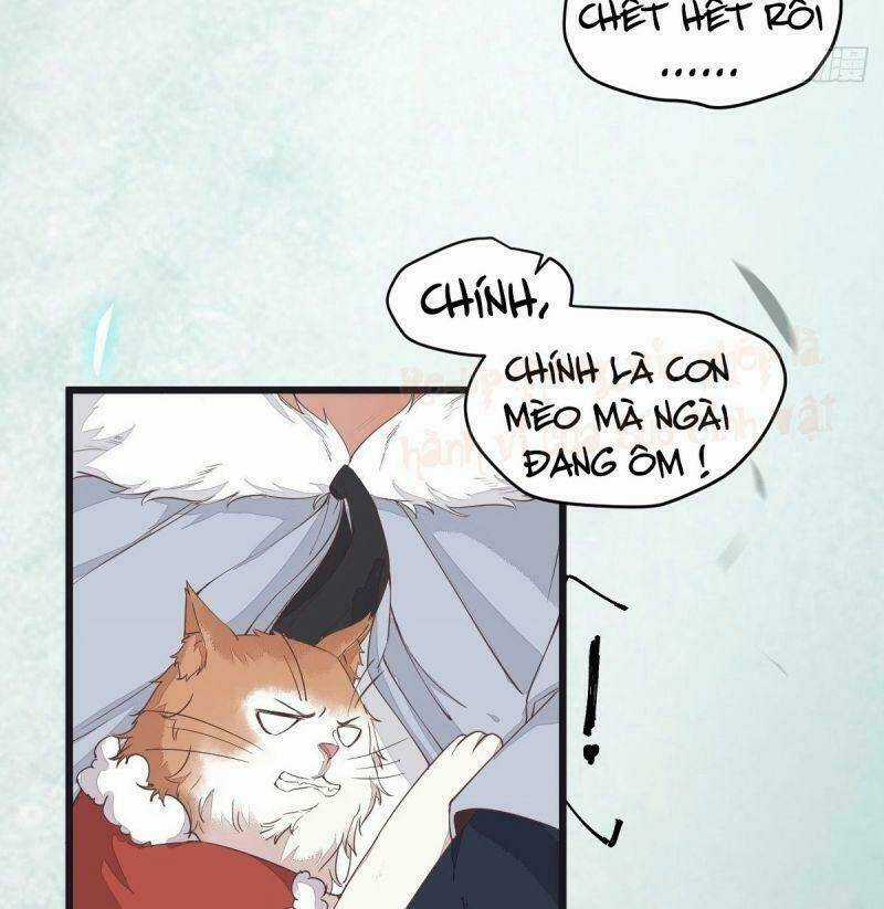 Sát Thủ Vương Phi Không Dễ Chọc - Chapter 39 - Trang 22