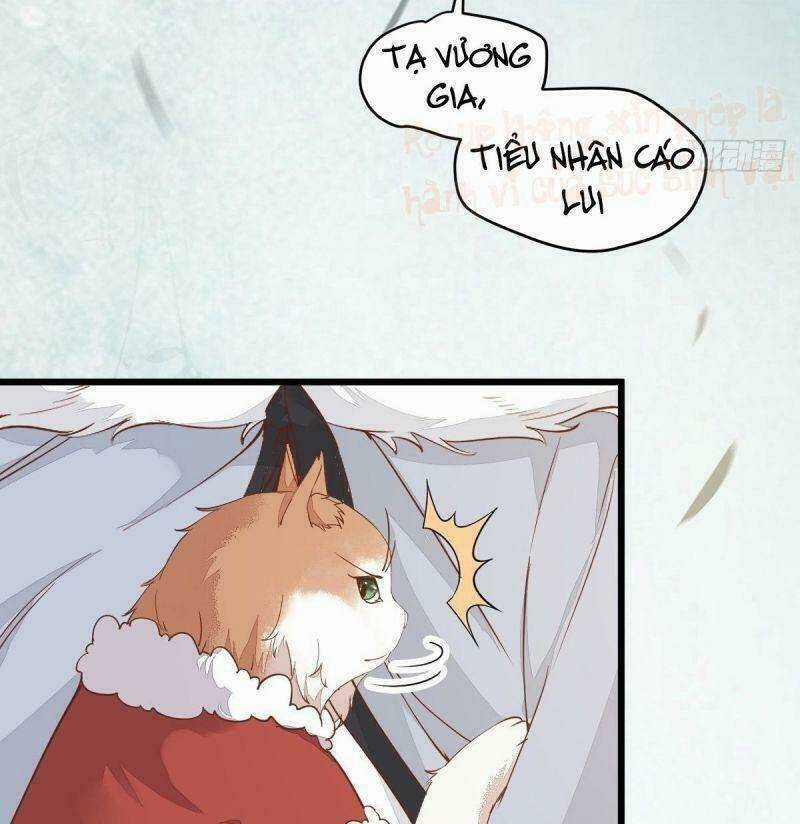 Sát Thủ Vương Phi Không Dễ Chọc - Chapter 39 - Trang 28