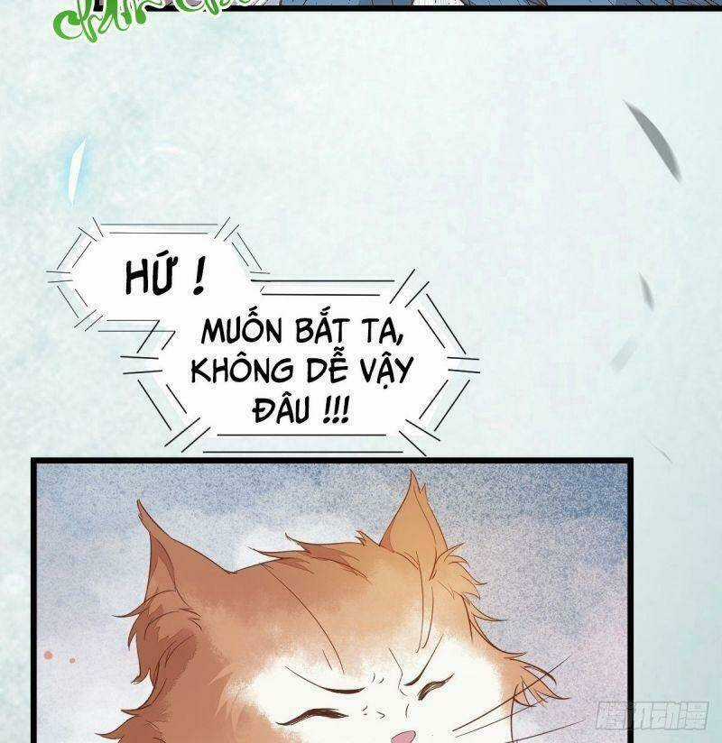 Sát Thủ Vương Phi Không Dễ Chọc - Chapter 39 - Trang 30