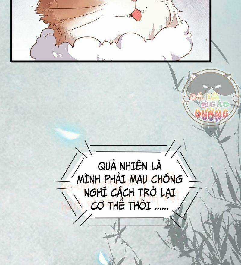 Sát Thủ Vương Phi Không Dễ Chọc - Chapter 39 - Trang 31