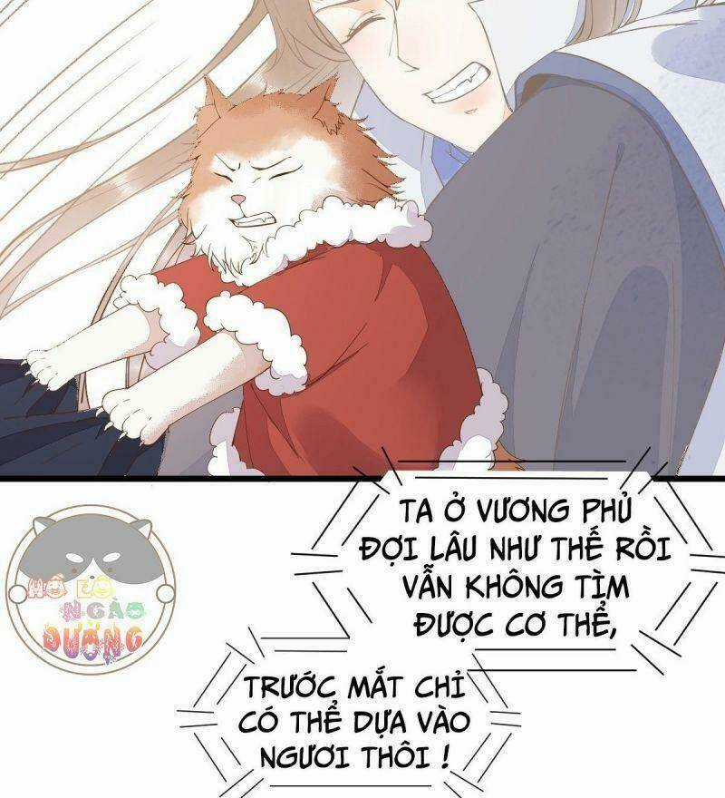 Sát Thủ Vương Phi Không Dễ Chọc - Chapter 39 - Trang 40