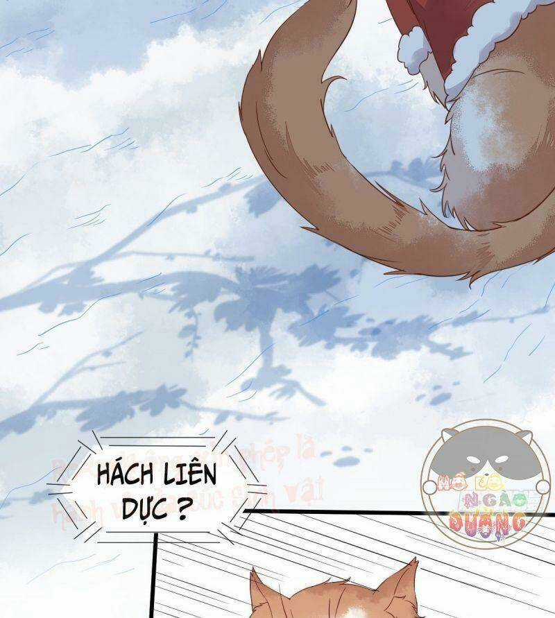 Sát Thủ Vương Phi Không Dễ Chọc - Chapter 39 - Trang 5