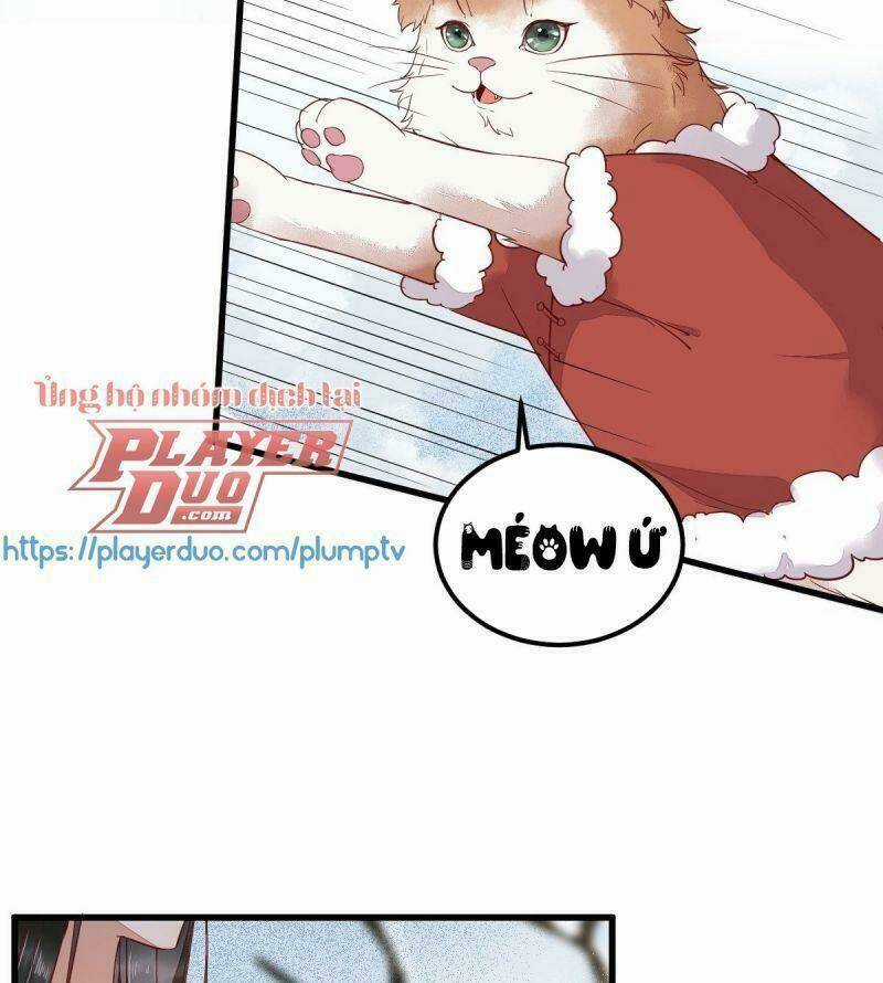 Sát Thủ Vương Phi Không Dễ Chọc - Chapter 39 - Trang 6