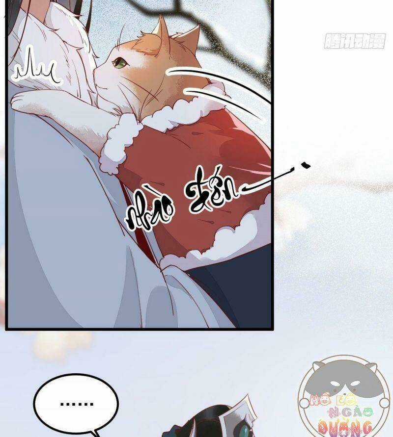 Sát Thủ Vương Phi Không Dễ Chọc - Chapter 39 - Trang 7