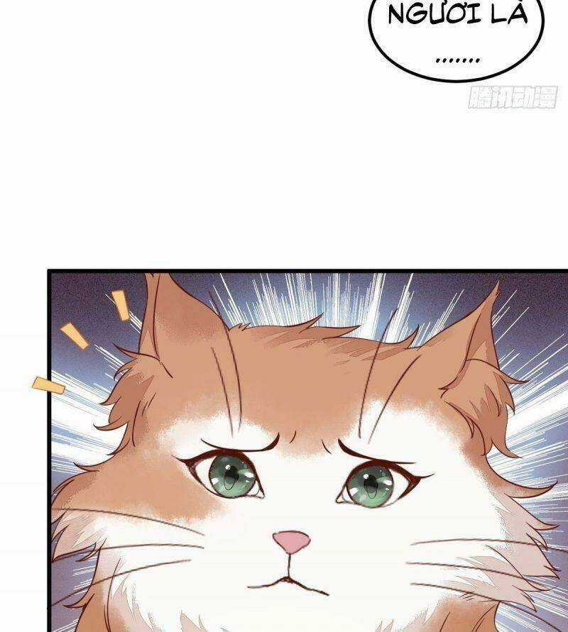 Sát Thủ Vương Phi Không Dễ Chọc - Chapter 39 - Trang 9