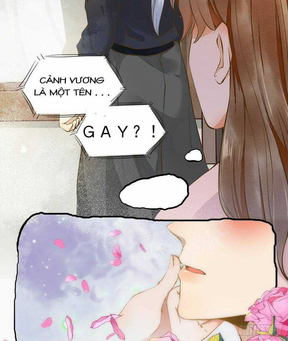 Sát Thủ Vương Phi Không Dễ Chọc - Chapter 4.5 - Trang 11