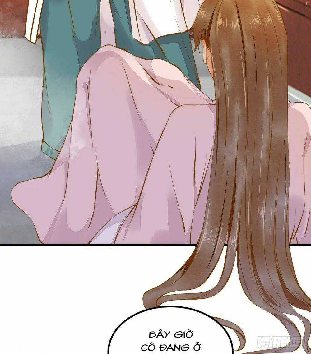 Sát Thủ Vương Phi Không Dễ Chọc - Chapter 4.5 - Trang 5