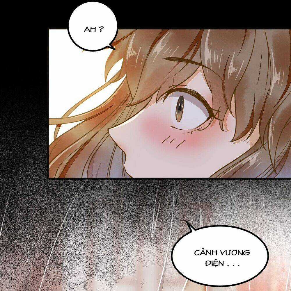 Sát Thủ Vương Phi Không Dễ Chọc - Chapter 4 - Trang 19