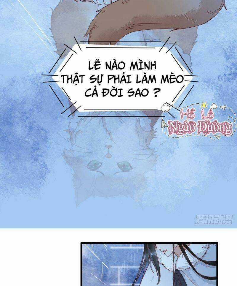 Sát Thủ Vương Phi Không Dễ Chọc - Chapter 40 - Trang 33