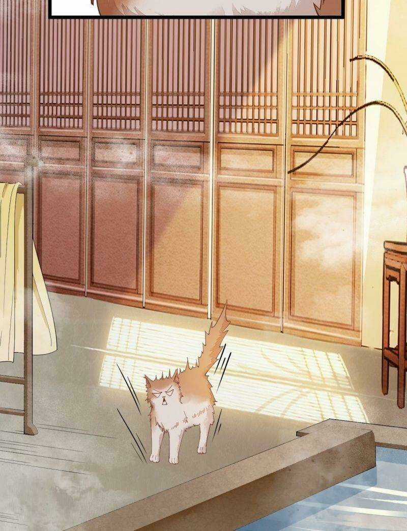 Sát Thủ Vương Phi Không Dễ Chọc - Chapter 40 - Trang 46