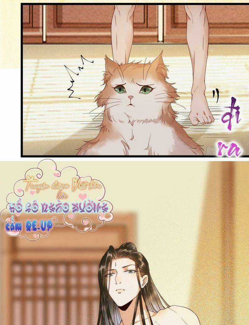 Sát Thủ Vương Phi Không Dễ Chọc - Chapter 40 - Trang 48