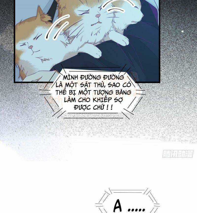 Sát Thủ Vương Phi Không Dễ Chọc - Chapter 40 - Trang 8