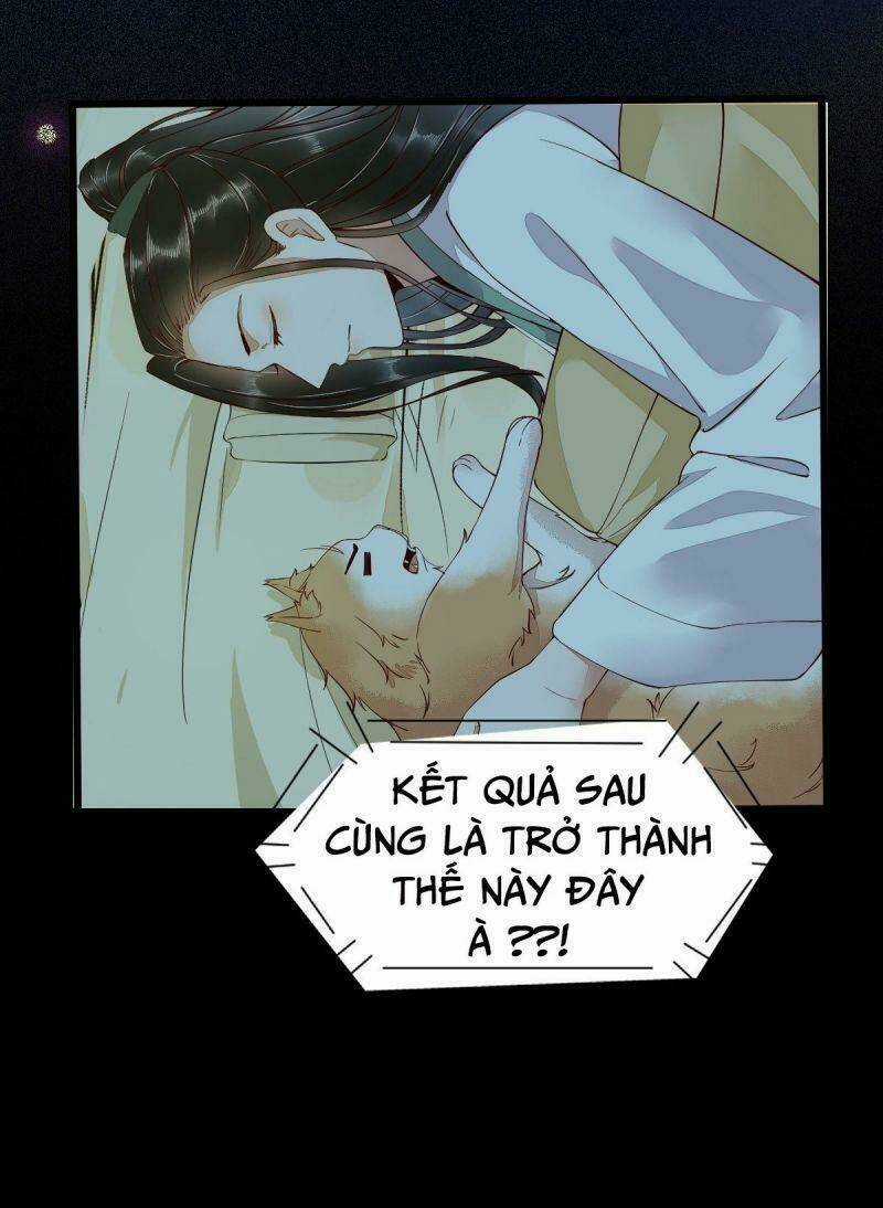 Sát Thủ Vương Phi Không Dễ Chọc - Chapter 41 - Trang 11