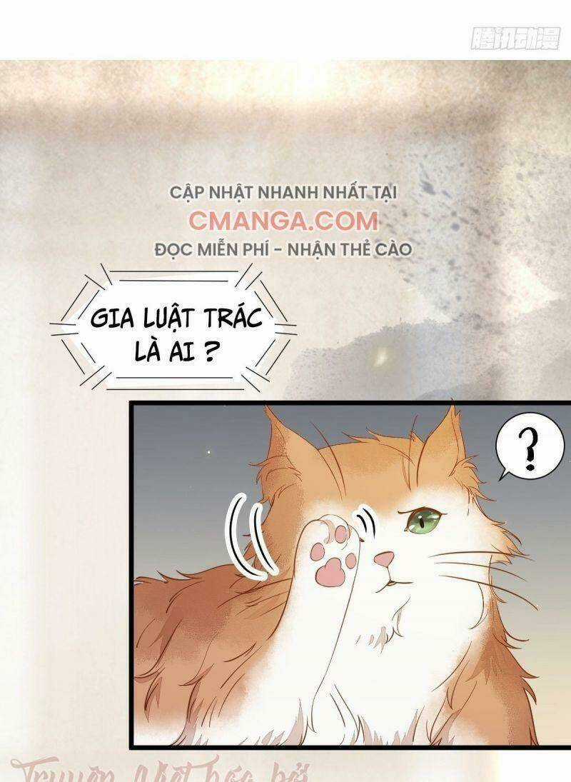 Sát Thủ Vương Phi Không Dễ Chọc - Chapter 41 - Trang 18