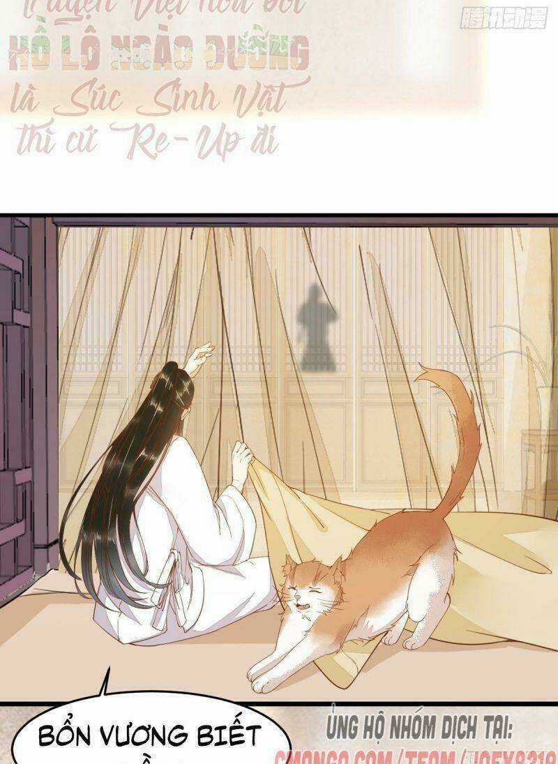 Sát Thủ Vương Phi Không Dễ Chọc - Chapter 41 - Trang 19