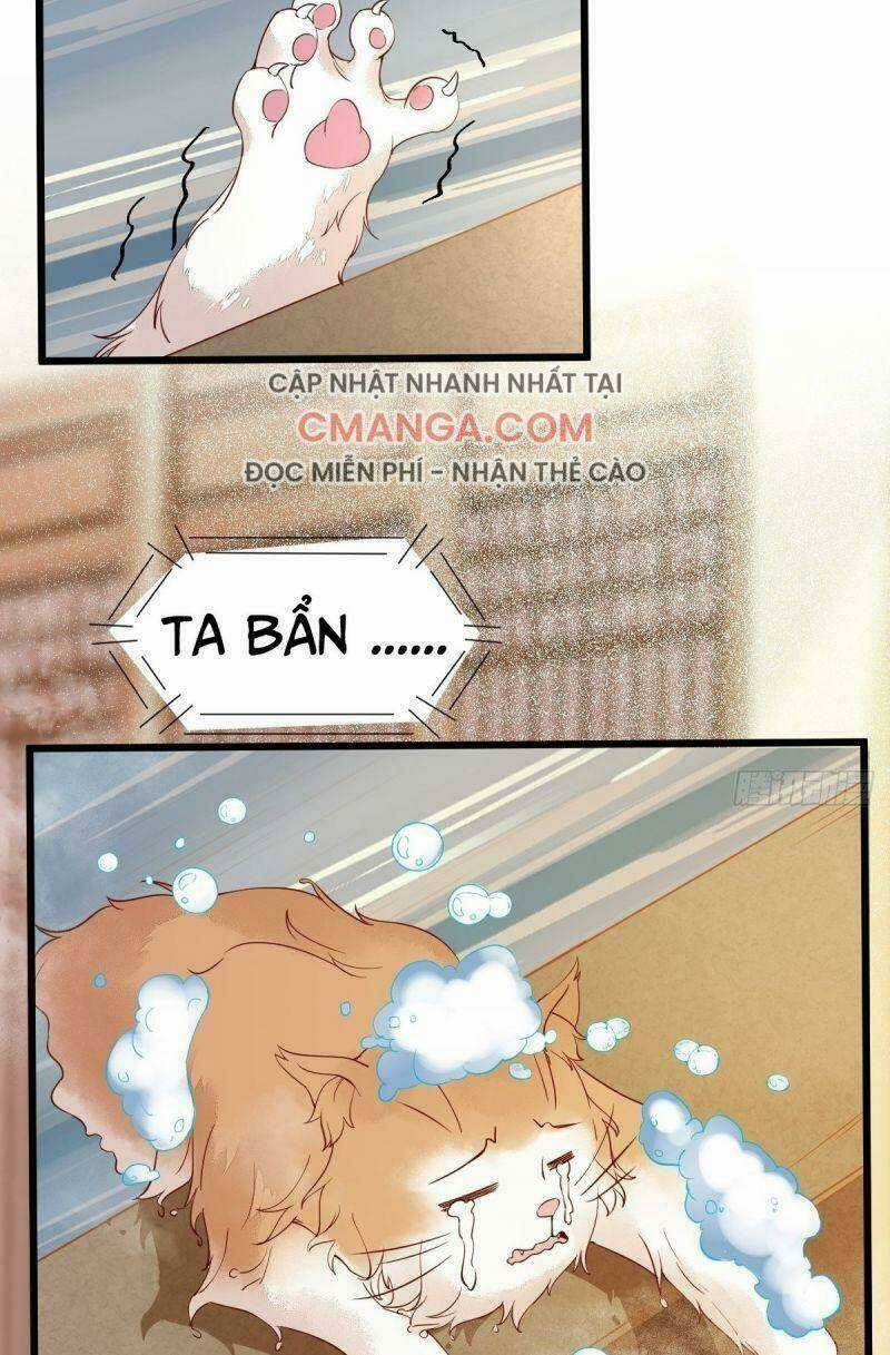 Sát Thủ Vương Phi Không Dễ Chọc - Chapter 41 - Trang 3