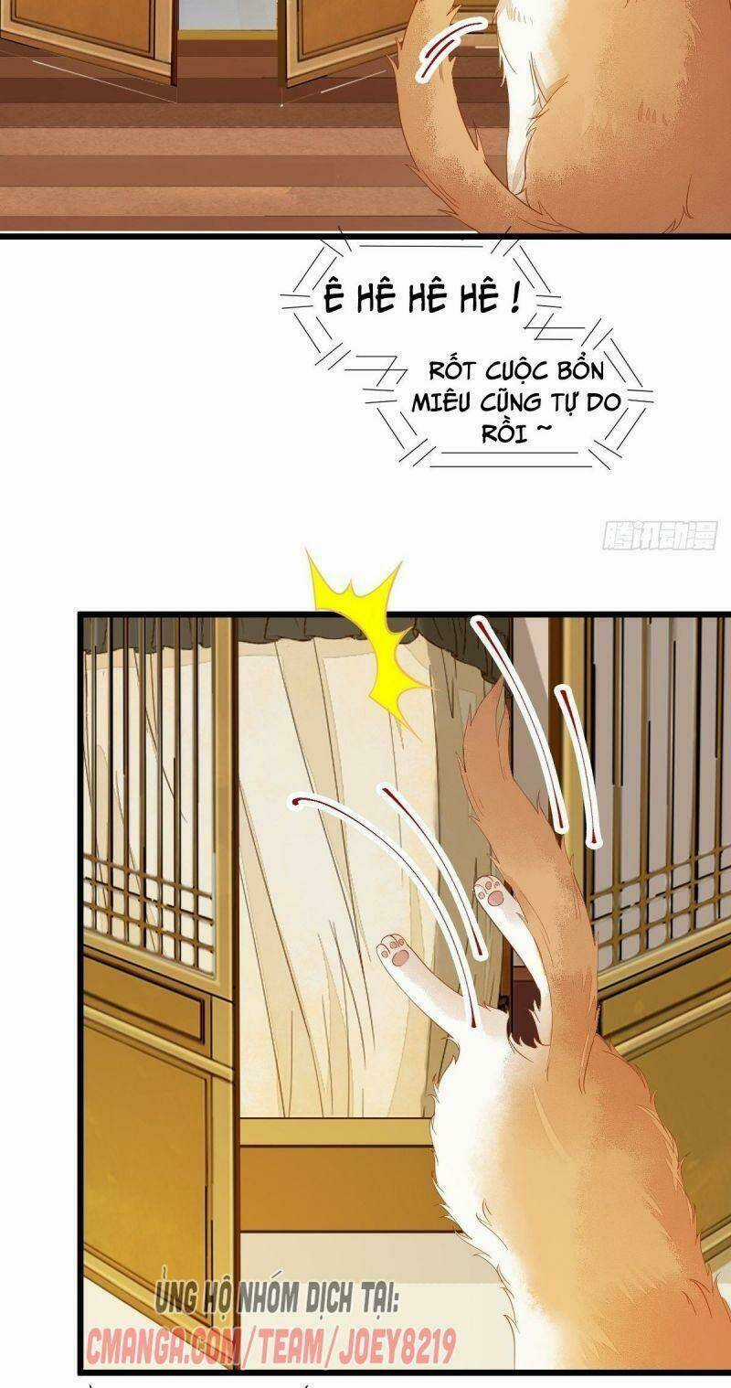 Sát Thủ Vương Phi Không Dễ Chọc - Chapter 41 - Trang 22