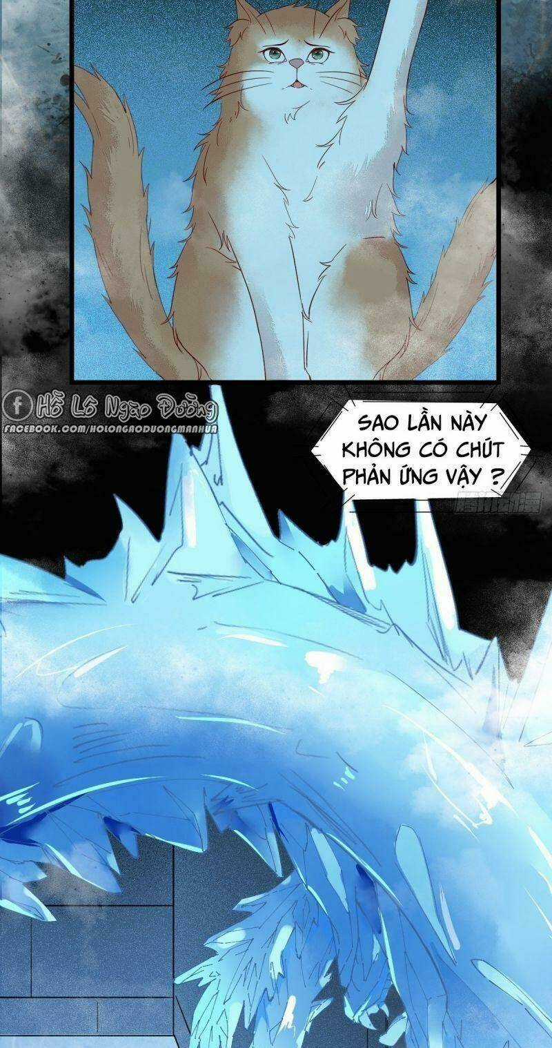 Sát Thủ Vương Phi Không Dễ Chọc - Chapter 41 - Trang 25