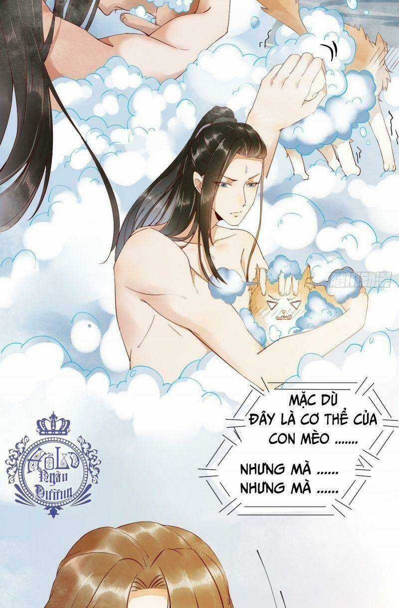 Sát Thủ Vương Phi Không Dễ Chọc - Chapter 41 - Trang 5