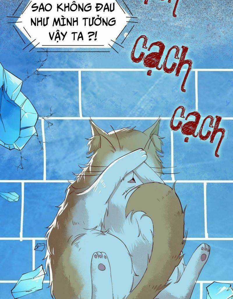 Sát Thủ Vương Phi Không Dễ Chọc - Chapter 41 - Trang 43