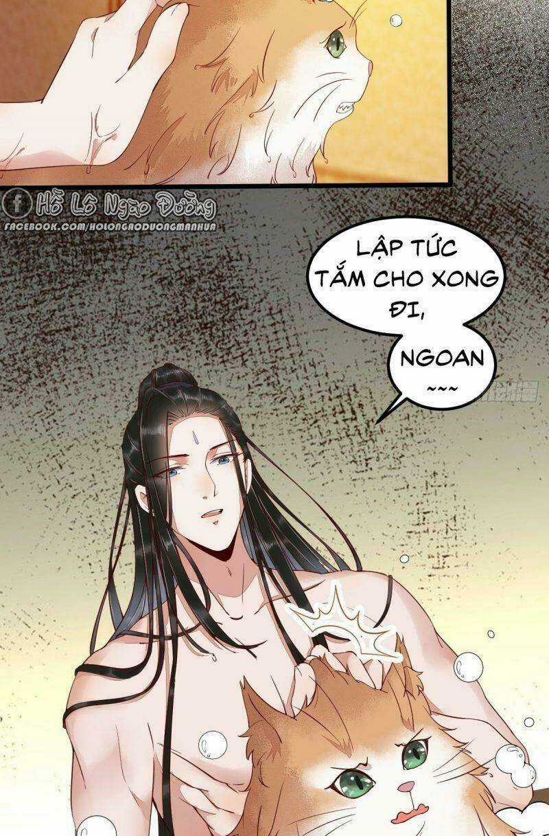 Sát Thủ Vương Phi Không Dễ Chọc - Chapter 41 - Trang 7