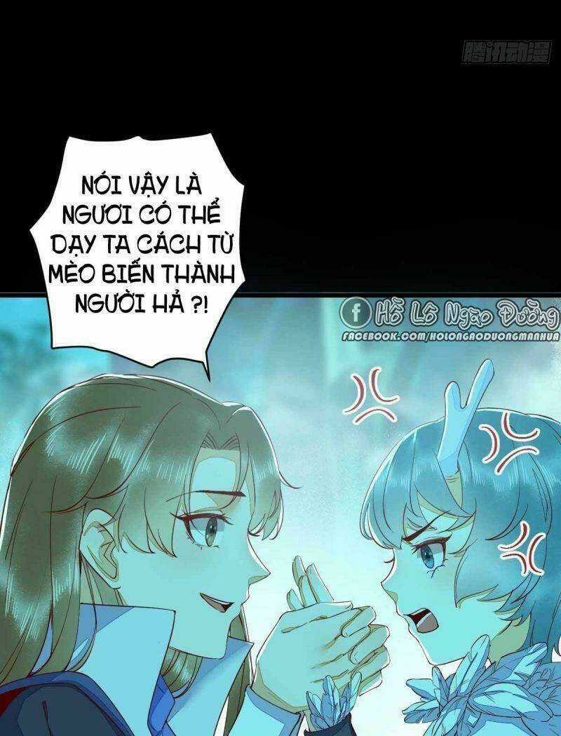 Sát Thủ Vương Phi Không Dễ Chọc - Chapter 43 - Trang 21