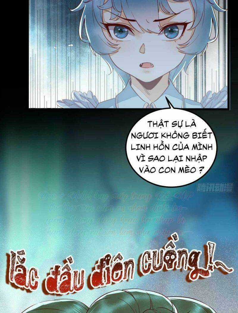 Sát Thủ Vương Phi Không Dễ Chọc - Chapter 43 - Trang 23