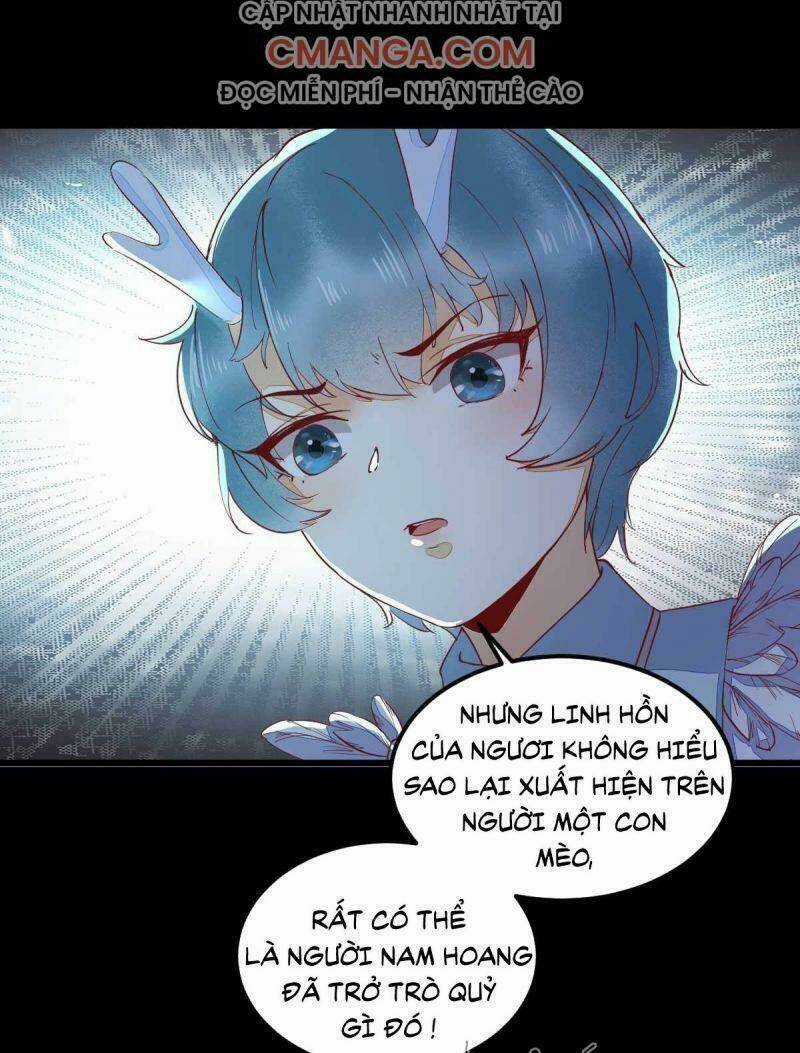 Sát Thủ Vương Phi Không Dễ Chọc - Chapter 43 - Trang 49