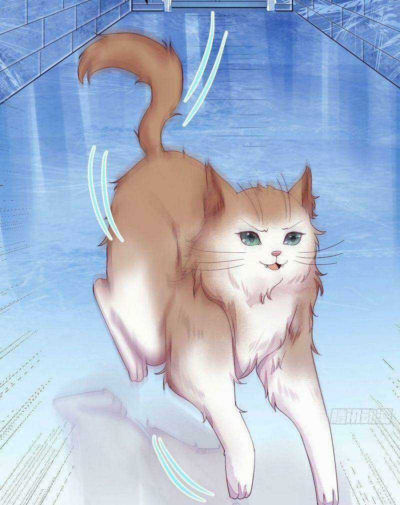 Sát Thủ Vương Phi Không Dễ Chọc - Chapter 44 - Trang 22