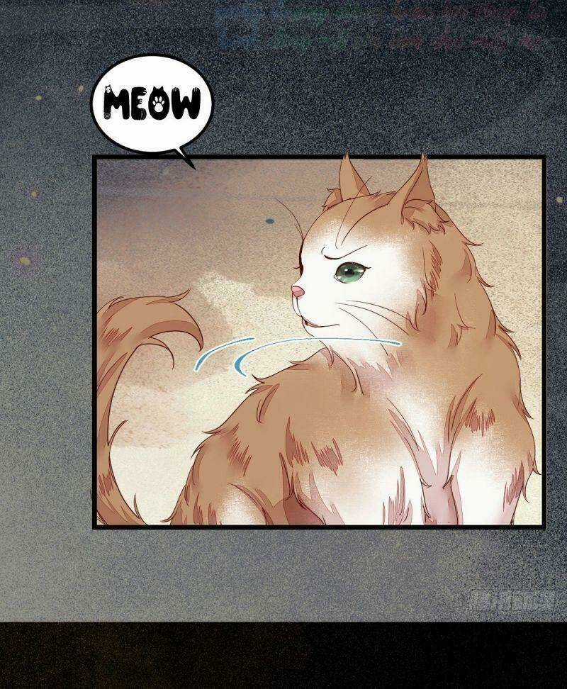 Sát Thủ Vương Phi Không Dễ Chọc - Chapter 44 - Trang 49